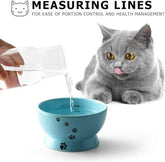KUTKUT Set of 2 Pcs Elevated Small Dog & Cat Food and Water Bowl Set, Tilted Elevated Cat Food Bowls No Spill, Ceramic, Pet Bowl for Flat-Faced Cats and Small Dogs
